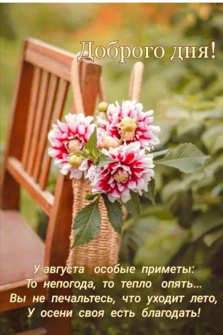 Доброго дня! У августа особые приметы: То непогода, то тепло опять... Вы не печальтесь, что уходит лето, У осени своя есть благодать!