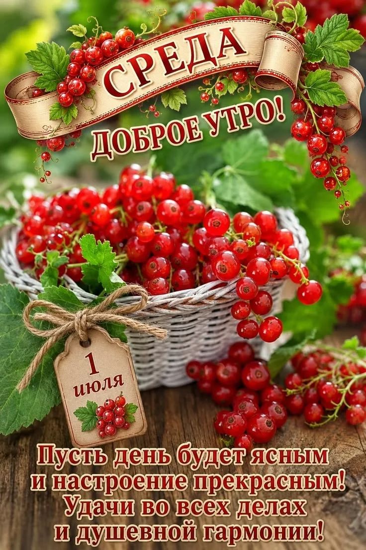 СРЕДА ДОБРОЕ УТРО! 1 июля Пусть день будет ясным и настроение прекрасным! Удачи во всех делах и душевной гармонии!