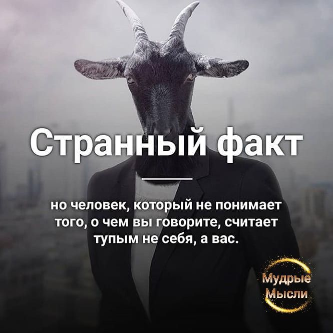 Странный факт но человек, который не понимает того, о чем вы говорите, считает тупым не себя, а вас.