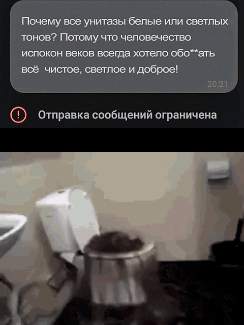Почему все унитазы белые или светлых тонов? Потому что человечество испокон веков всегда хотело обо**ать всё чистое, светлое и доброе! Отправка сообщений ограничена