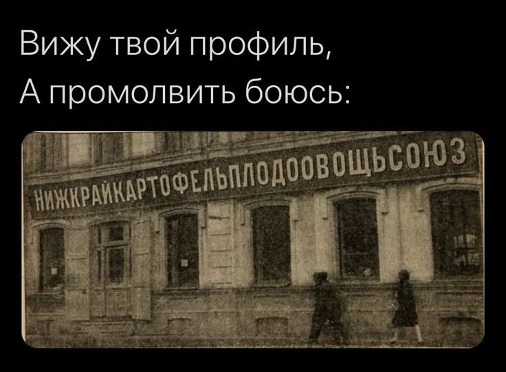 Вижу твой профиль, А промолвить боюсь: Нижкрайкартофельплодоовощсоюз