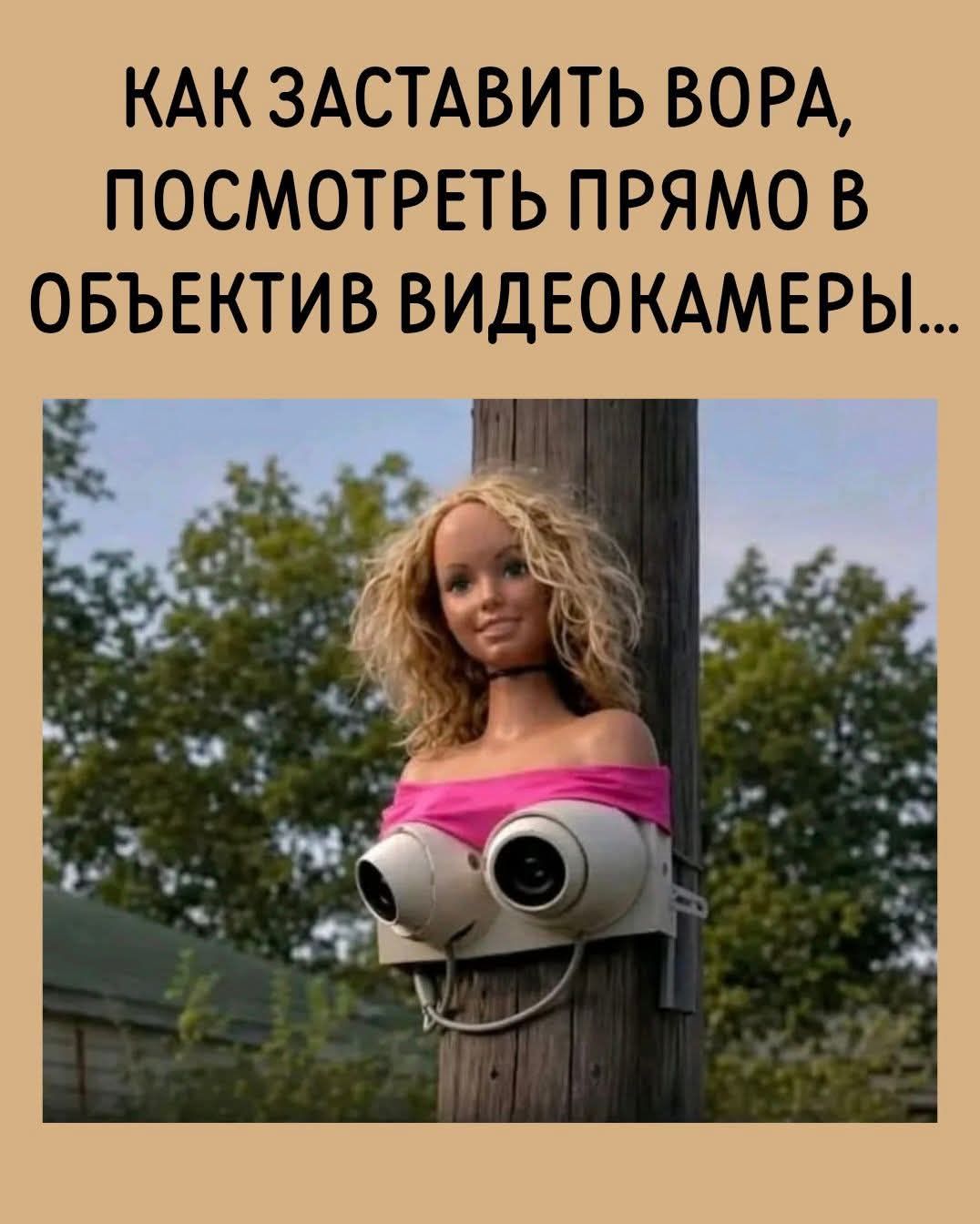КАК ЗАСТАВИТЬ ВОРА, ПОСМОТРЕТЬ ПРЯМО В ОБЪЕКТИВ ВИДЕОКАМЕРЫ...