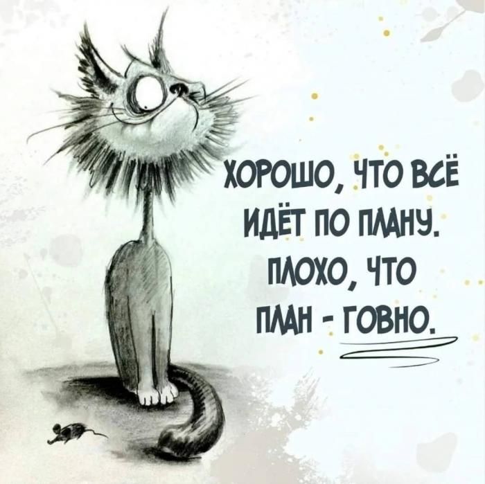ХОРОШО, ЧТО ВСЁ ИДЁТ ПО ПЛАНУ. ПЛОХО, ЧТО ПЛАН - ГОВНО.