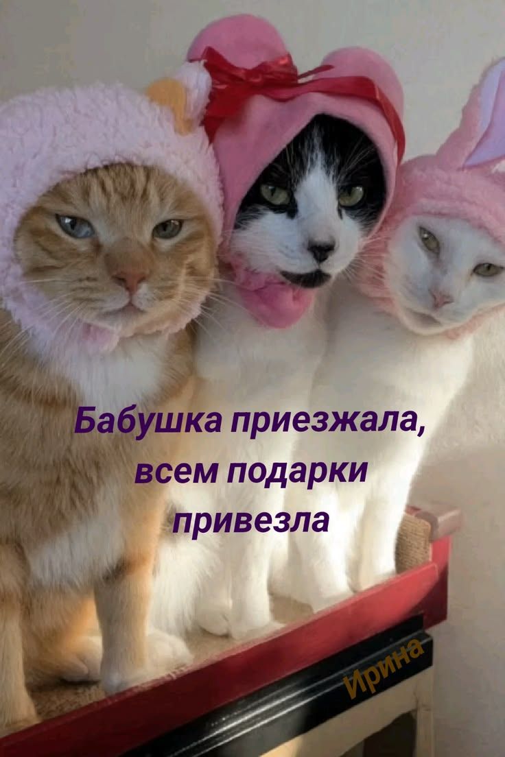 Бабушка приезжала, всем подарки привезла