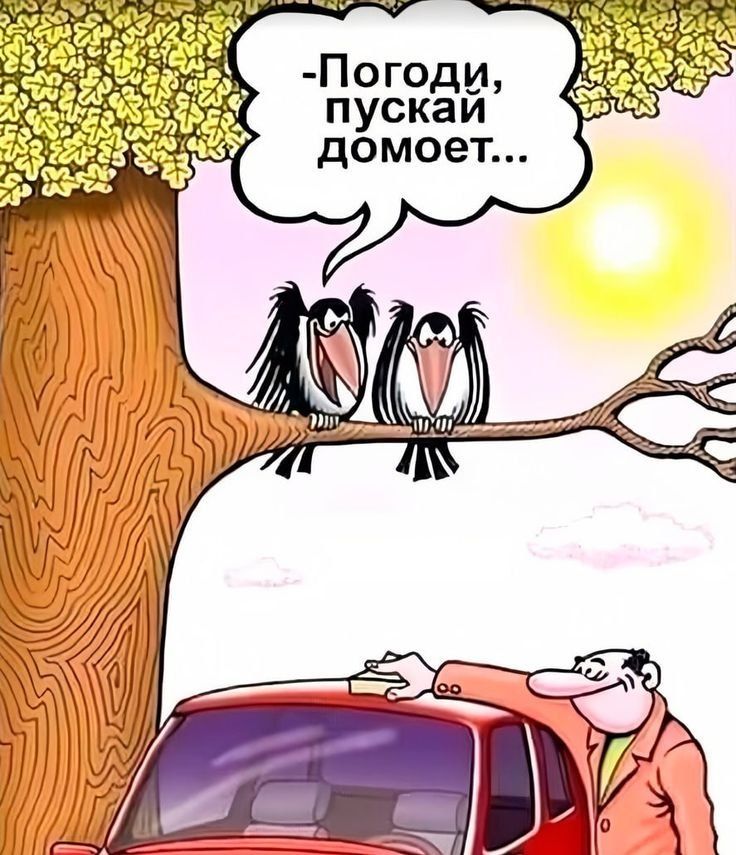 -Погоди, пускай домоет...