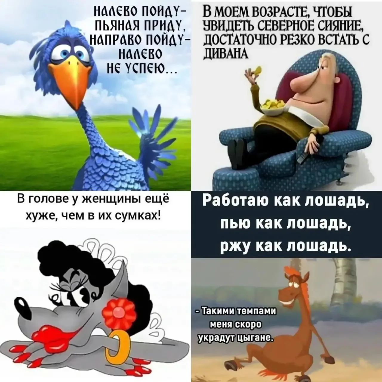 Налево пойду — пьяная приду, направо пойду — налево не успею...
В моем возрасте, чтобы увидеть северное сияние, достаточно резко встать с дивана
В голове у женщины ещё хуже, чем в их сумках!
Работаю как лошадь, пью как лошадь, ржу как лошадь. - Такими темпами меня скоро украдут цыгане.