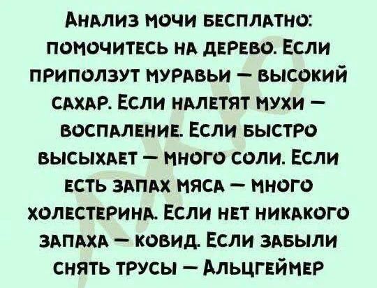 Анализ мочи бесплатно: помочитесь на дерево. Если приползут муравьи — высокий сахар. Если налетят мухи — воспаление. Если быстро высыхает — много соли. Если есть запах мяса — много холестерина. Если нет никакого запаха — ковид. Если забыли снять трусы — Альцгеймер