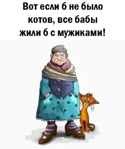 Вот если б не было котов, все бабы жили б с мужиками!
