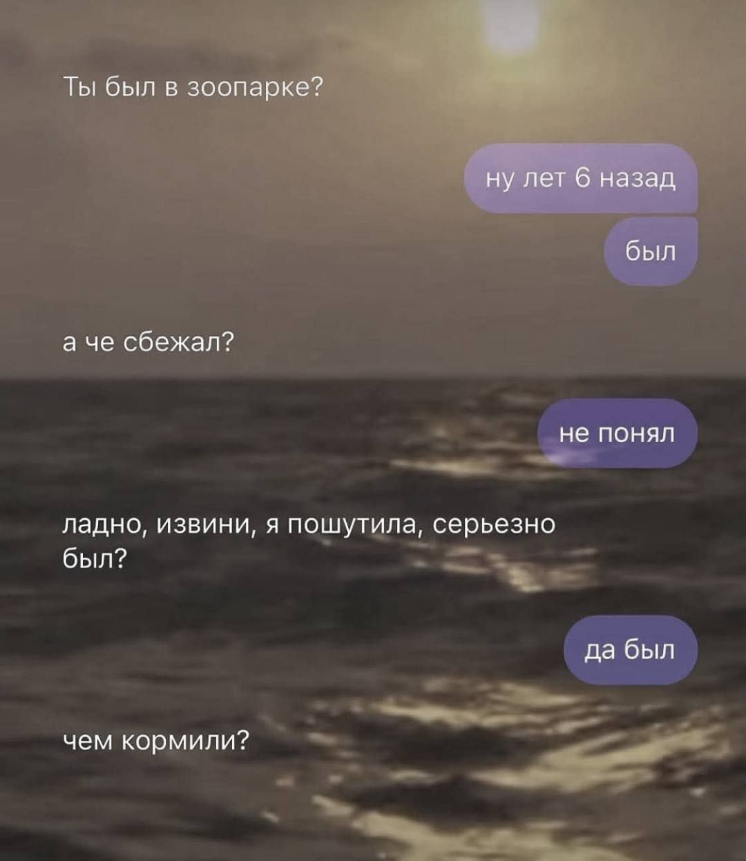 Ты был в зоопарке? ну лет 6 назад был а че сбежал? не понял ладно, извини, я пошутила, серьезно был? да был чем кормили?