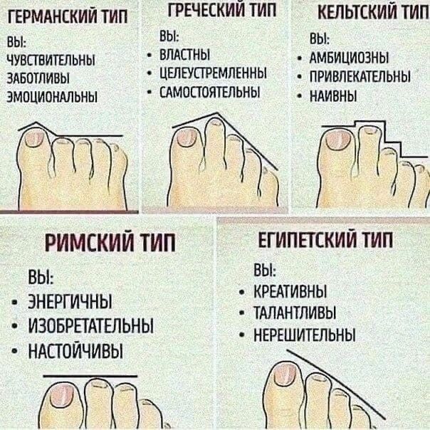 ГЕРМАНСКИЙ ТИП Вы: ЧУВСТВИТЕЛЬНЫ, ЗАБОТЛИВЫ, ЭМОЦИОНАЛЬНЫ. ГРЕЧЕСКИЙ ТИП Вы: ВЛАСТНЫ, ЦЕЛЕУСТРЕМЛЕННЫ, САМОСТОЯТЕЛЬНЫ. КЕЛЬТСКИЙ ТИП Вы: АМБИЦИОЗНЫ, ПРИВЛЕКАТЕЛЬНЫ, НАИВНЫ. РИМСКИЙ ТИП Вы: ЭНЕРГИЧНЫ, ИЗОБРЕТАТЕЛЬНЫ, НАСТОЙЧИВЫ. ЕГИПЕТСКИЙ ТИП Вы: КРЕАТИВНЫ, ТАЛАНТЛИВЫ, НЕРЕШИТЕЛЬНЫ.