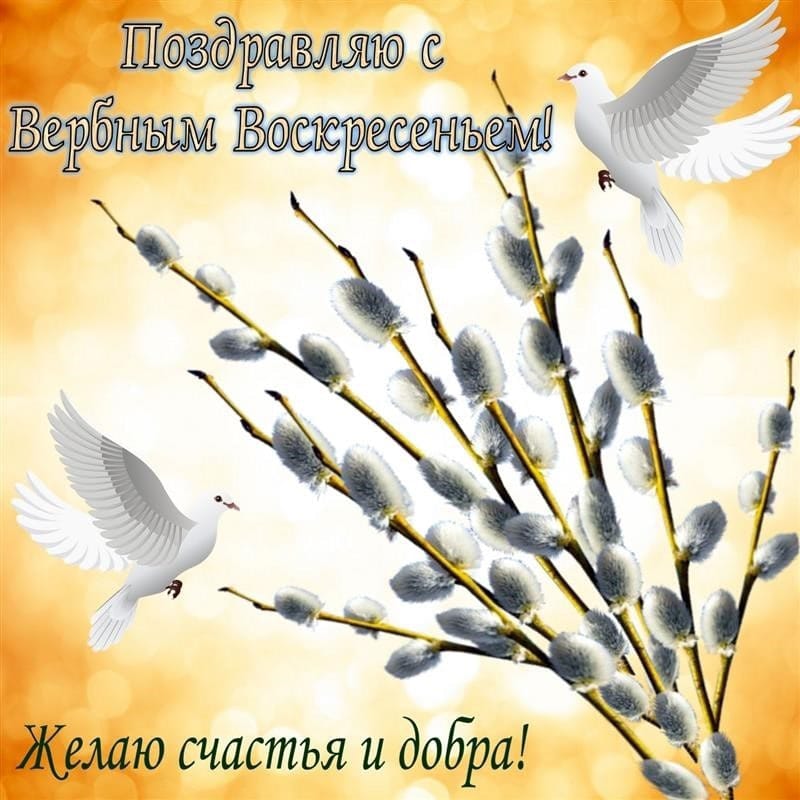 Поздравляю с Вербным Воскресеньем! Желаю счастья и добра!