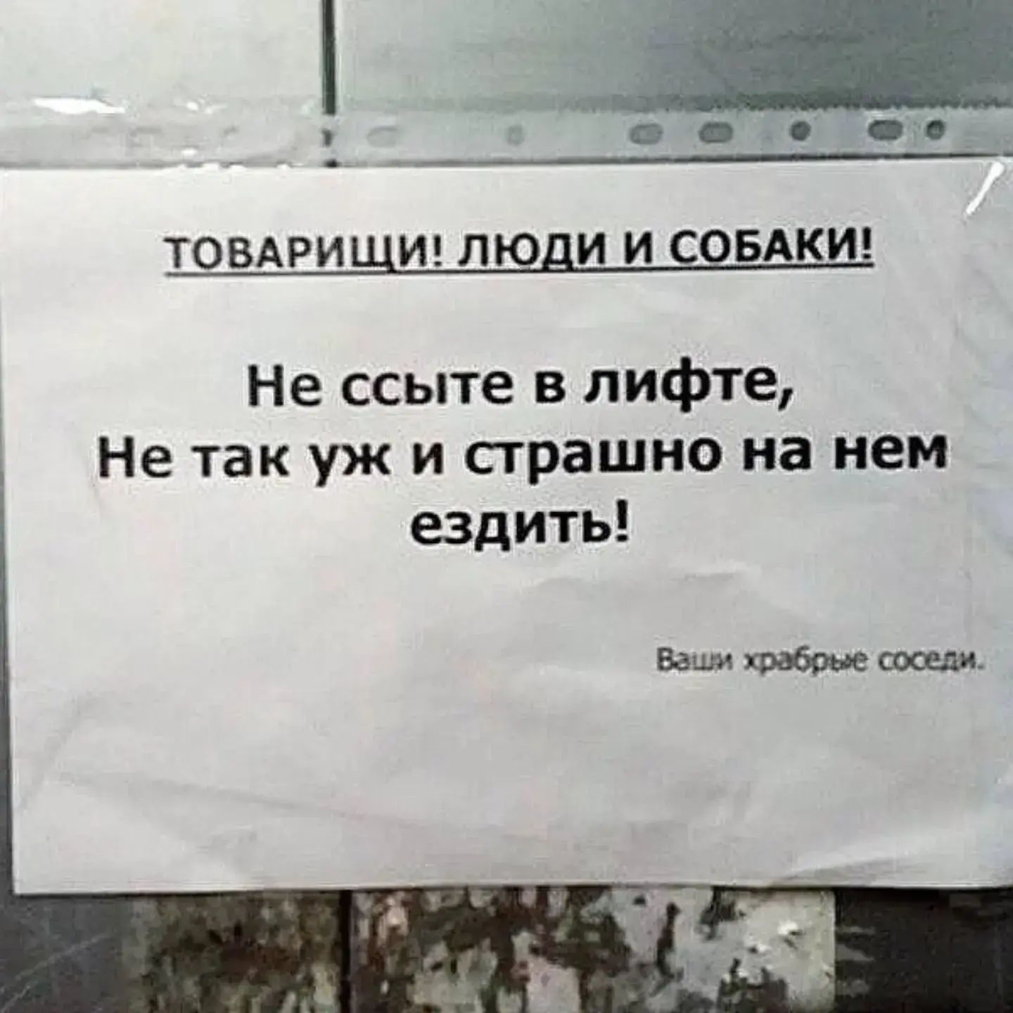 ТОВАРИЩИ! ЛЮДИ И СОБАКИ! Не ссыте в лифте, Не так уж и страшно на нем ездить! Ваши храбрые соседи.