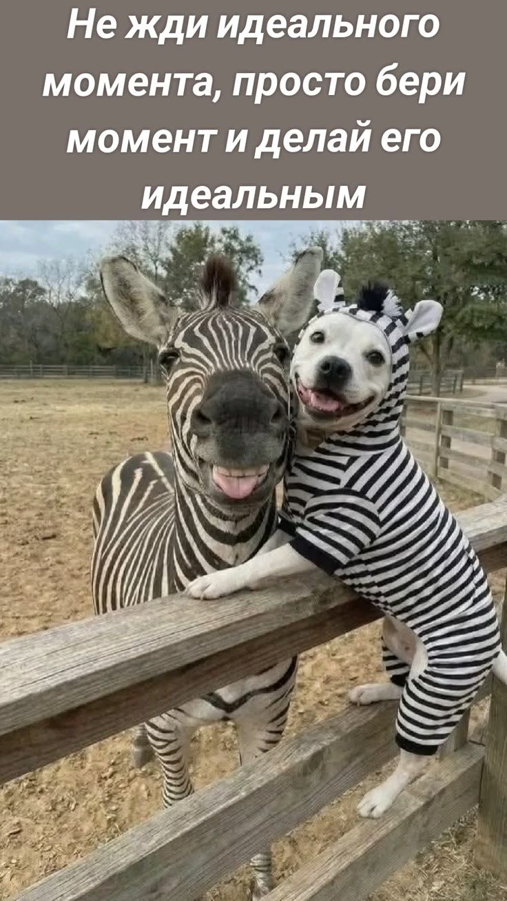 Не жди идеального момента, просто бери момент и делай его идеальным