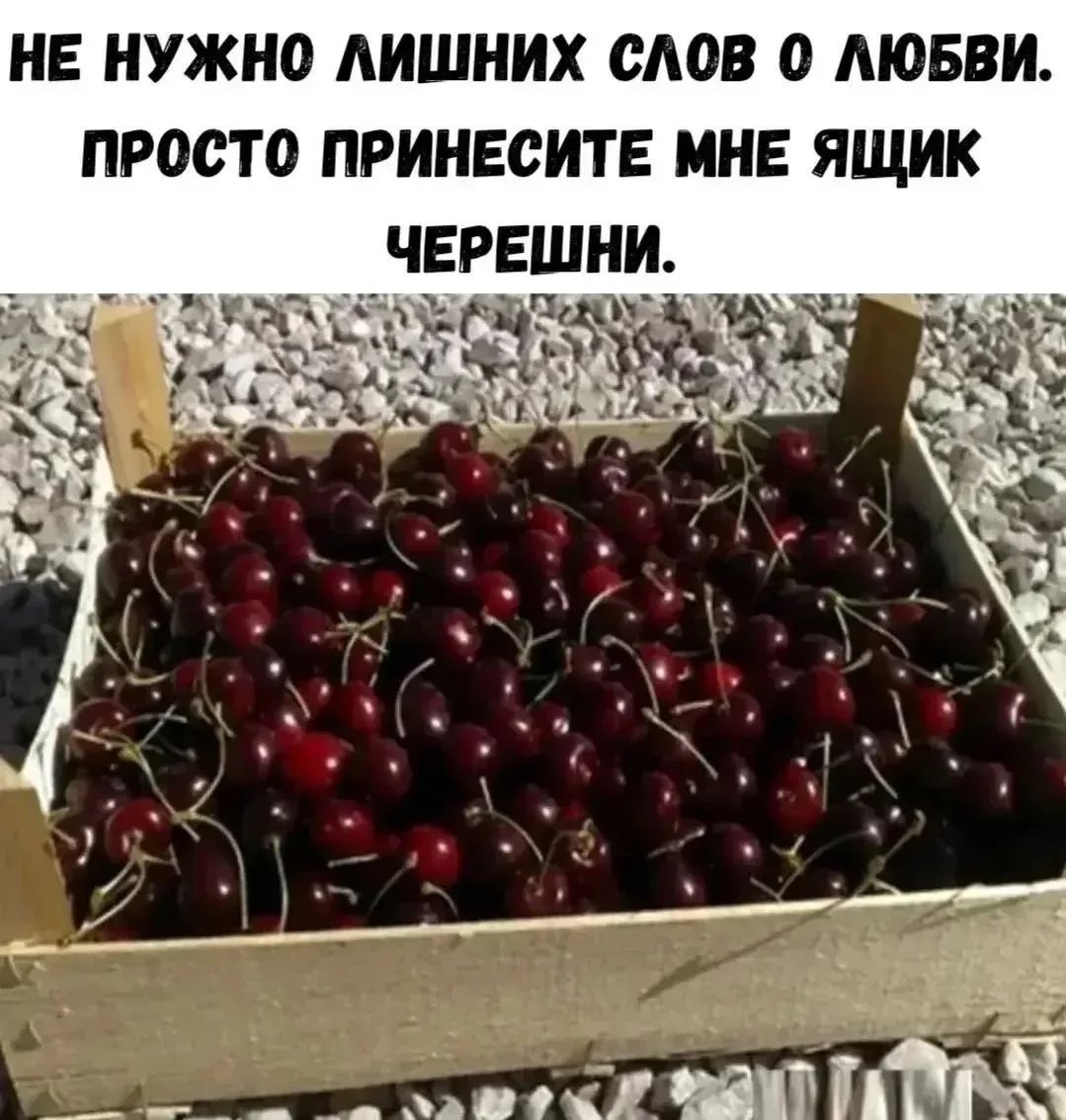 НЕ НУЖНО ЛИШНИХ СЛОВ О ЛЮБВИ. ПРОСТО ПРИНЕСИТЕ МНЕ ЯЩИК ЧЕРЕШНИ.
