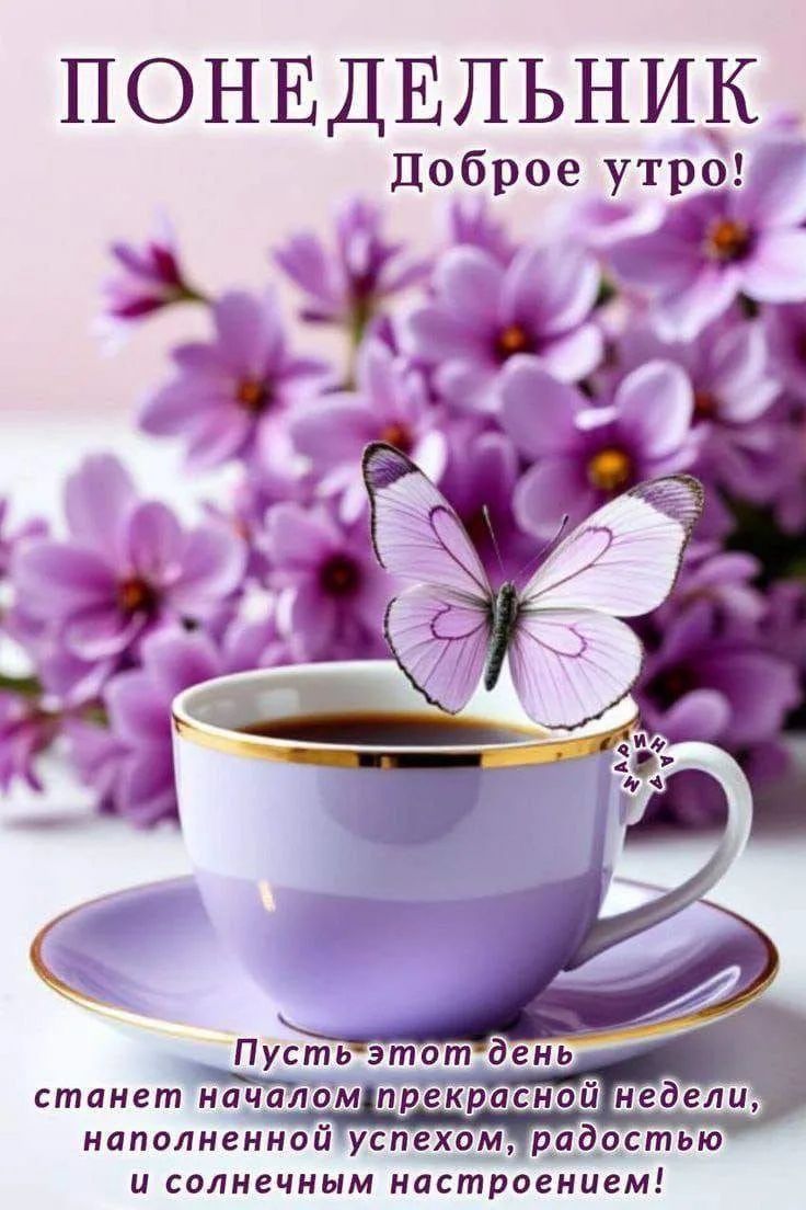 ПОНЕДЕЛЬНИК Доброе утро! Пусть этот день станет началом прекрасной недели, наполненной успехом, радостью и солнечным настроением!