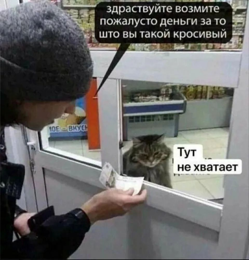 здравствуйте возьмите пожалуйста деньги за то что вы такой красивый. Тут не хватает.