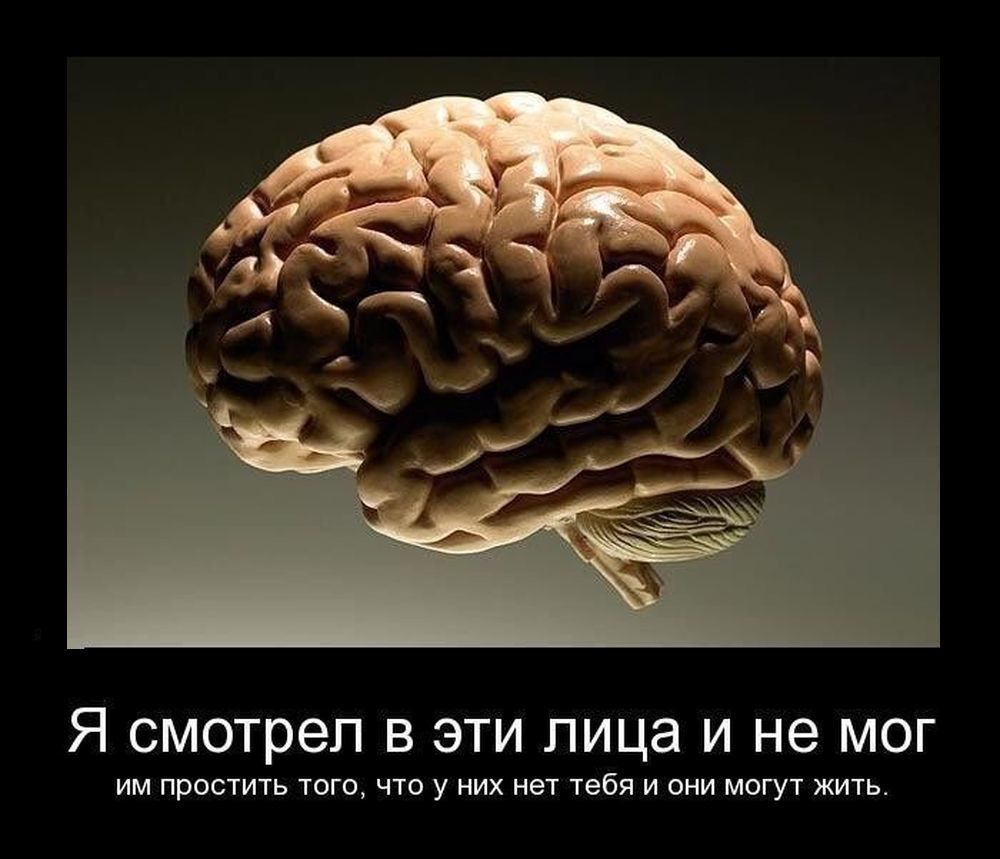 Я смотрел в эти лица и не мог им простить того, что у них нет тебя и они могут жить.