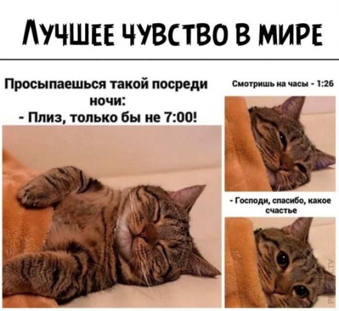 ЛУЧШЕЕ ЧУВСТВО В МИРЕ Просыпаешься такой посреди ночи: - Плиз, только бы не 7:00! Смотришь на часы - 1:26 - Господи, спасибо, какое счастье
