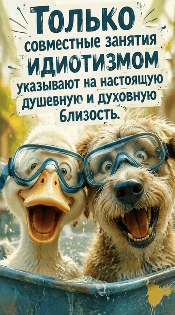 Только совместные занятия идиотизмом указывают на настоящую душевную и духовную близость.