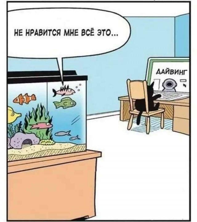НЕ НРАВИТСЯ МНЕ ВСЁ ЭТО... ДАЙВИНГ