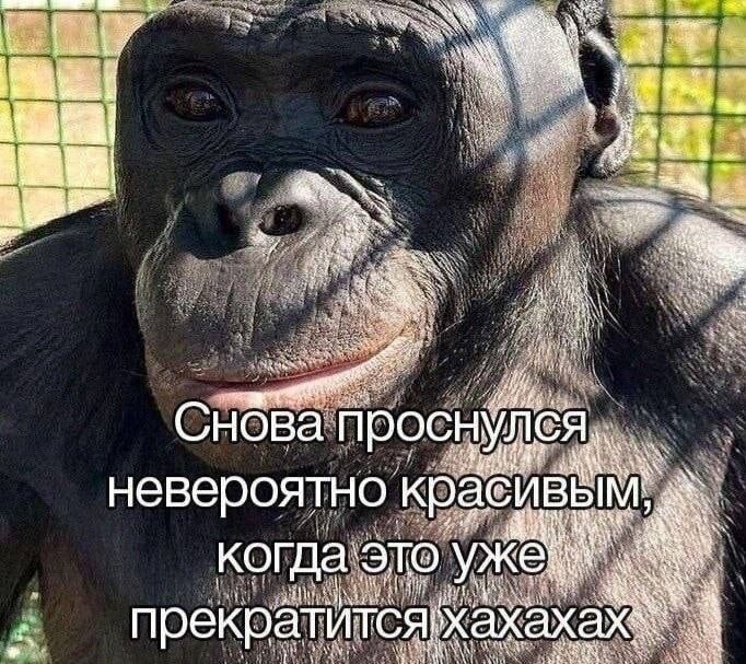 Снова проснулся невероятно красивым, когда это уже прекратится хахахах