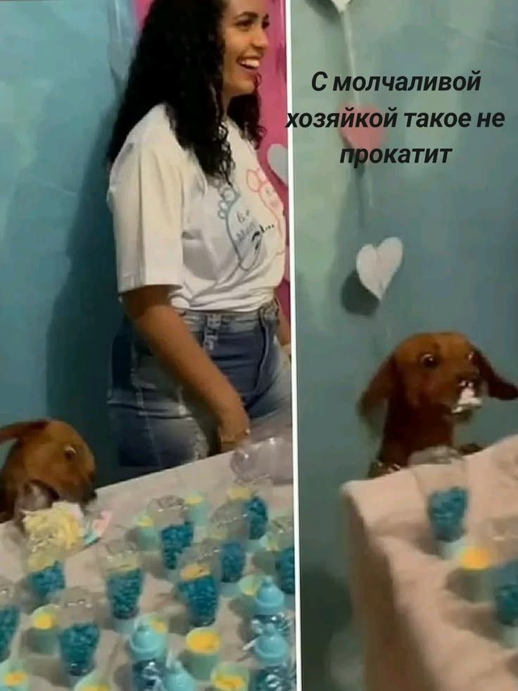 С молчаливой хозяйкой такое не прокатит
