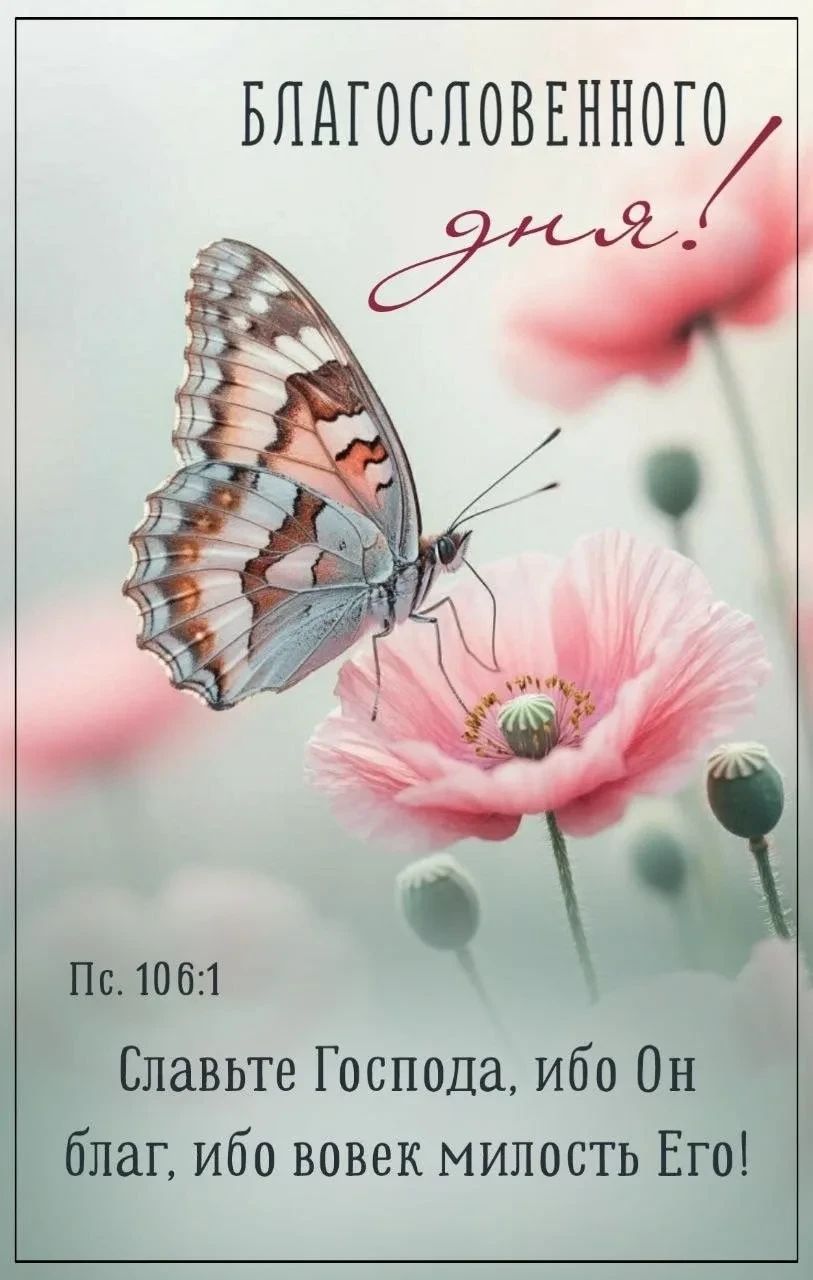 БЛАГОСЛОВЕННОГО дня! Пс. 106:1 Славьте Господа, ибо Он благ, ибо вовек милость Его!