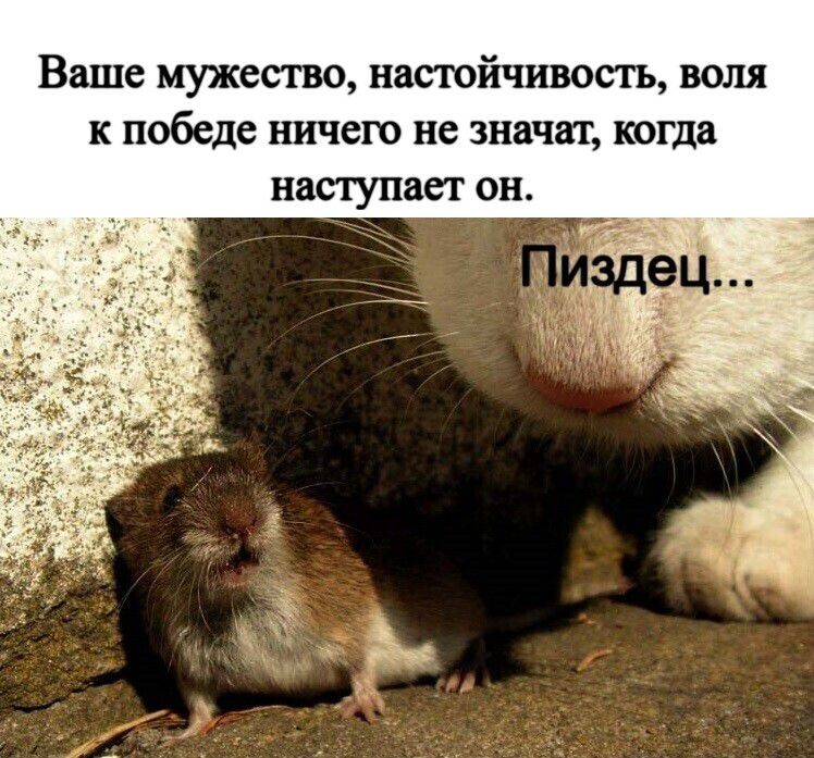 Ваше мужество, настойчивость, воля к победе ничего не значат, когда наступает он. Пиздец...
