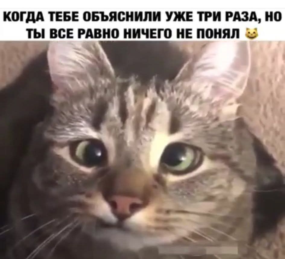 КОГДА ТЕБЕ ОБЪЯСНИЛИ УЖЕ ТРИ РАЗА, НО ТЫ ВСЕ РАВНО НИЧЕГО НЕ ПОНЯЛ