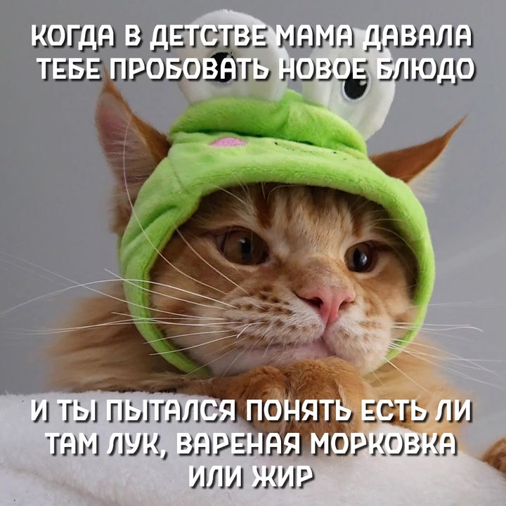 КОГДА В ДЕТСТВЕ МАМА ДАВАЛА ТЕБЕ ПРОБОВАТЬ НОВОЕ БЛЮДО И ТЫ ПЫТАЛСЯ ПОНЯТЬ ЕСТЬ ЛИ ТАМ ЛУК, ВАРЕНАЯ МОРКОВКА ИЛИ ЖИР