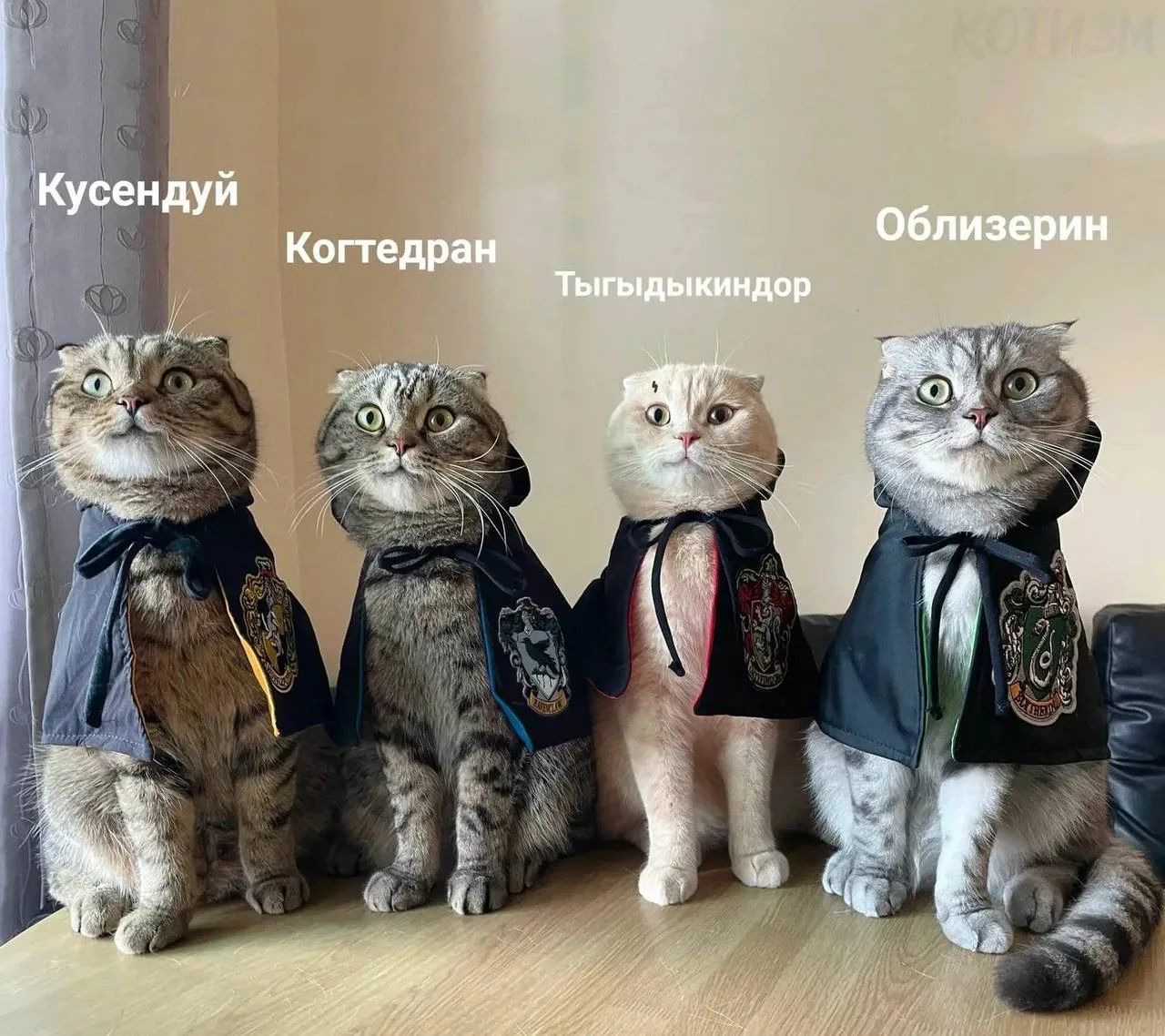 Кусендуй Когтедран Тыгыдыкиндор Облизерин