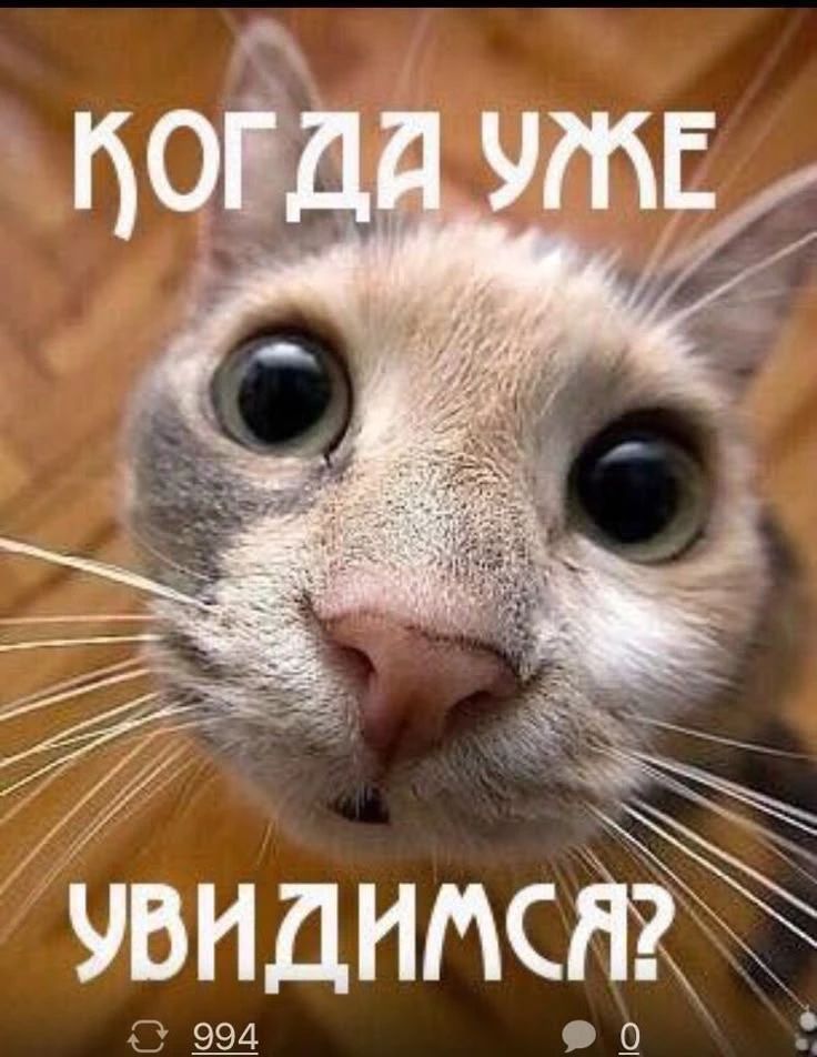 КОГДА УЖЕ УВИДИМСЯ?
