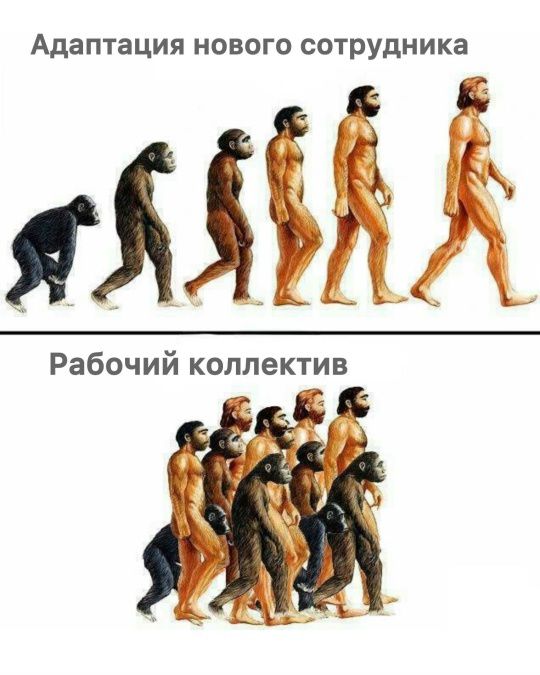 Адаптация нового сотрудника Рабочий коллектив