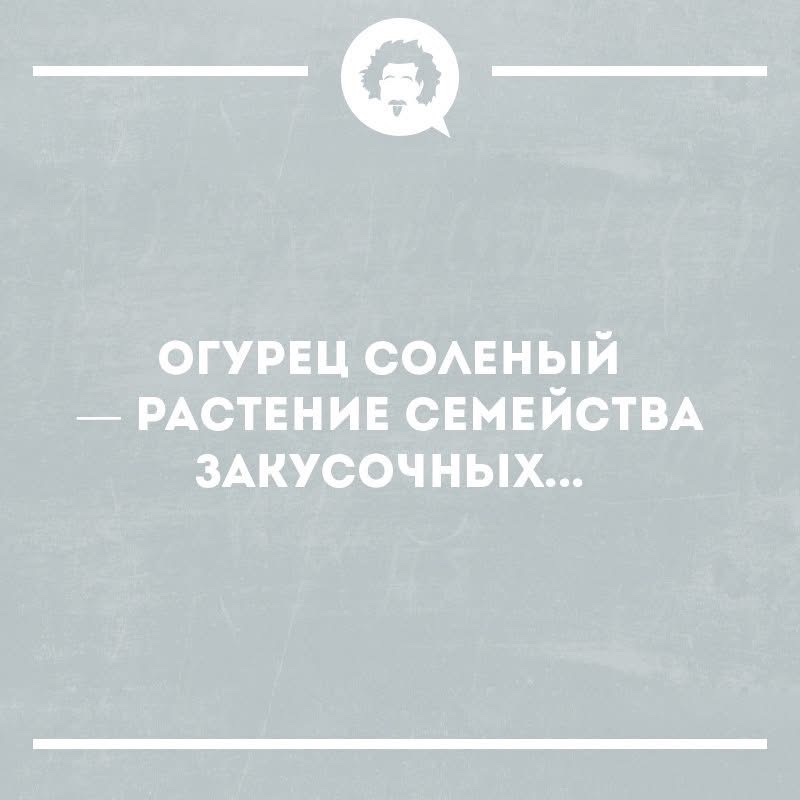 ОГУРЕЦ СОЛЕНЫЙ — РАСТЕНИЕ СЕМЕЙСТВА ЗАКУСОЧНЫХ...