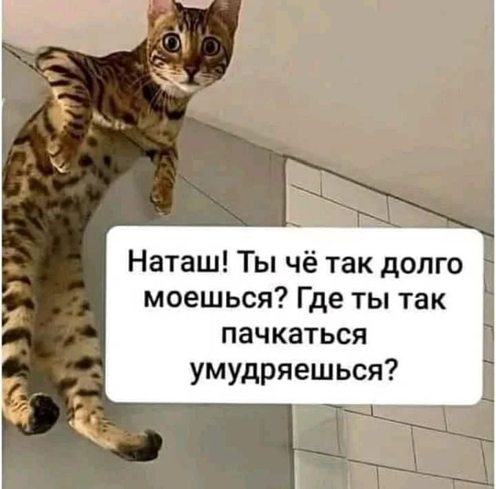 Наташ! Ты чё так долго моешься? Где ты так пачкаться умудряешься?