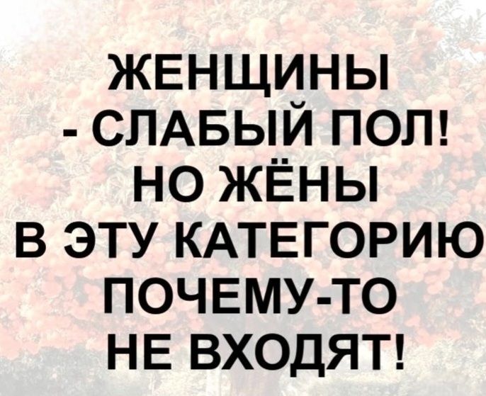 ЖЕНЩИНЫ - СЛАБЫЙ ПОЛ! НО ЖЁНЫ В ЭТУ КАТЕГОРИЮ ПОЧЕМУ-ТО НЕ ВХОДЯТ!
