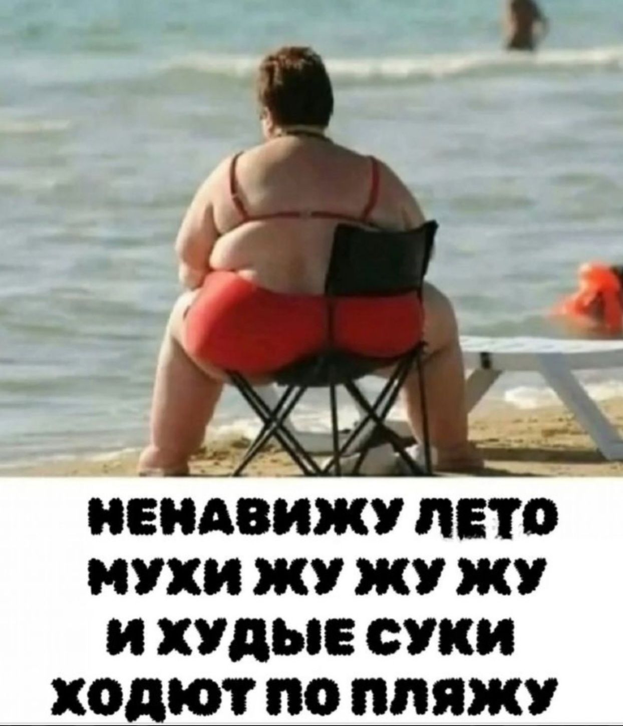 НЕНАВИЖУ ЛЕТО МУХИ ЖУ ЖУ ЖУ И ХУДЫЕ СУКИ ХОДЯТ ПО ПЛЯЖУ