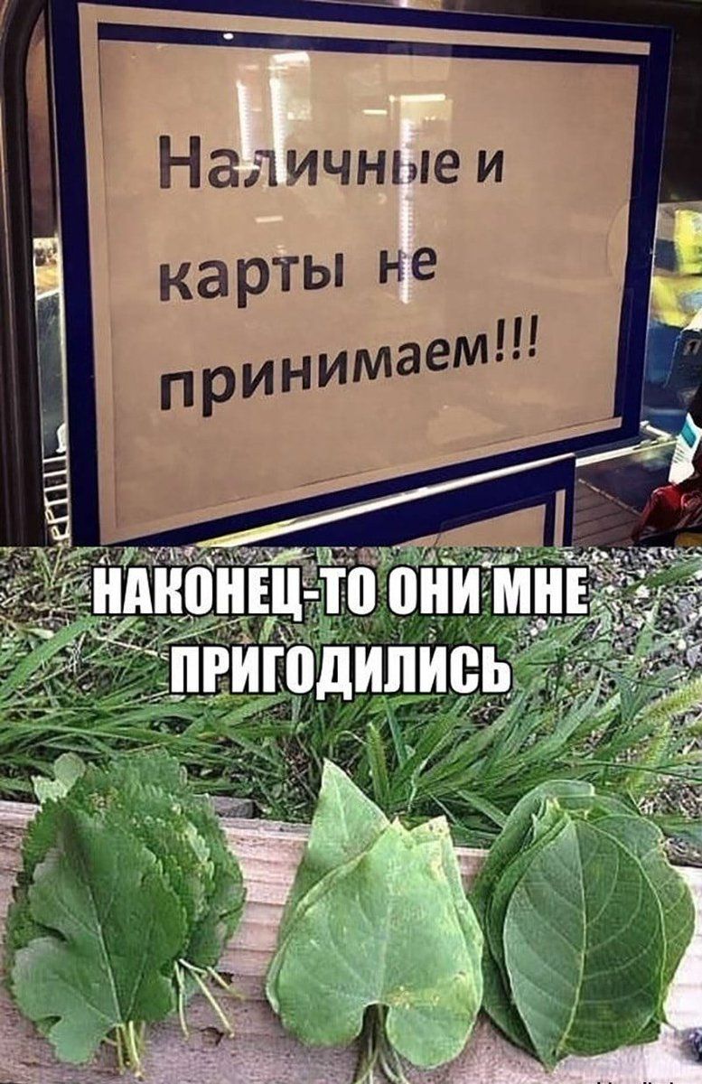 Наличные и карты не принимаем!!! НАКОНЕЦ-ТО ОНИ МНЕ ПРИГОДИЛИСЬ