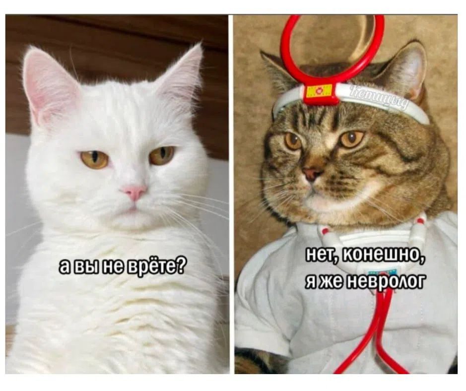 а вы не врете? нет, конечно, я же невролог