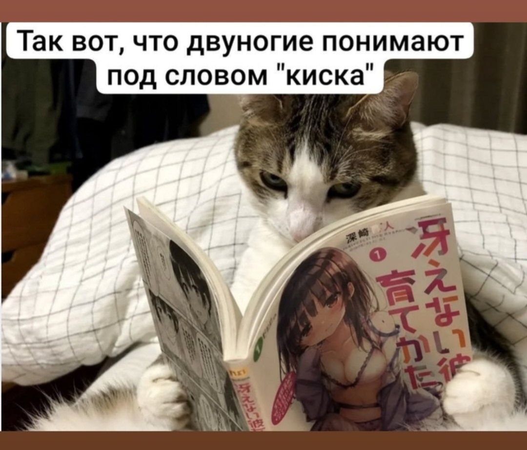 Так вот, что двуногие понимают под словом 