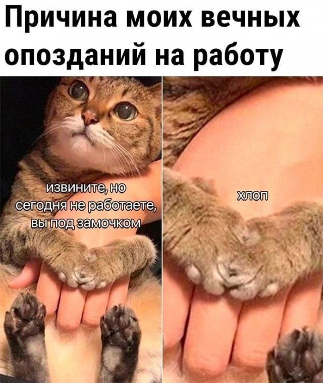 Причина моих вечных опозданий на работу. извините, но сегодня не работаете, вы под замочком. хлоп