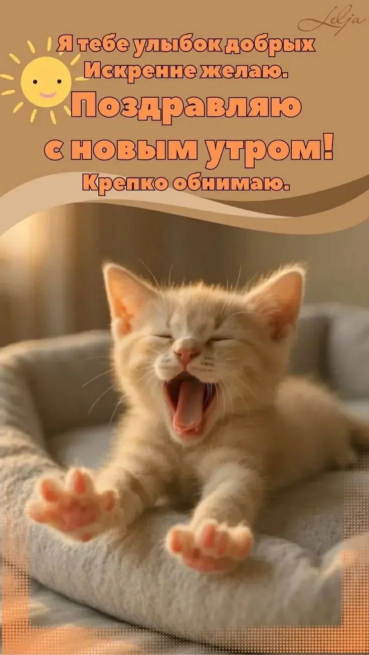 Я тебе улыбок добрых Искренне желаю. Поздравляю с новым утром! Крепко обнимаю.