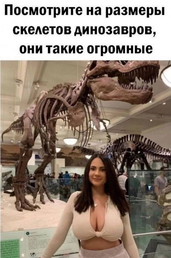 Посмотрите на размеры скелетов динозавров, они такие огромные