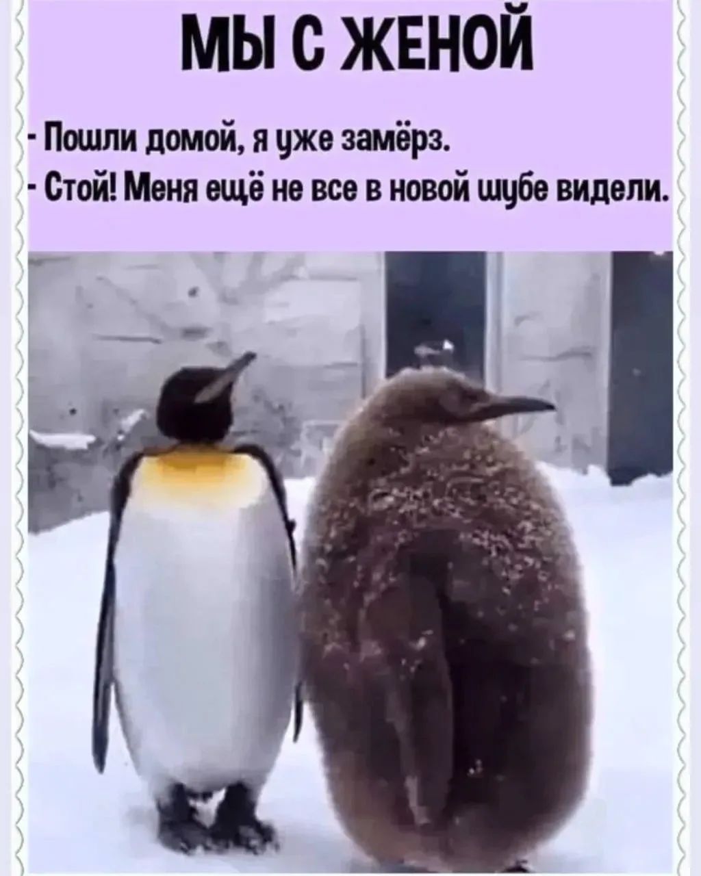 МЫ С ЖЕНОЙ - Пошли домой, я уже замёрз. - Стой! Меня ещё не все в новой шубе видели.