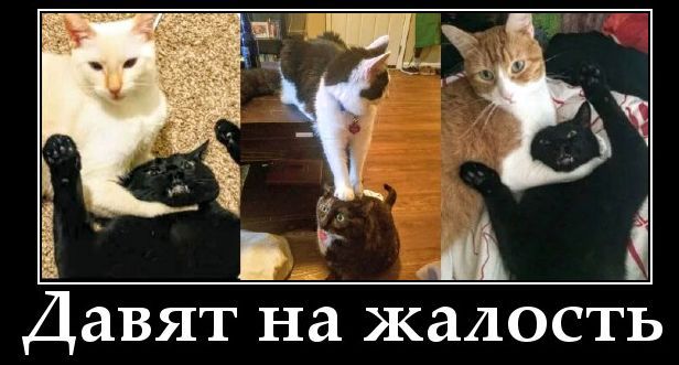 Давят на жалость