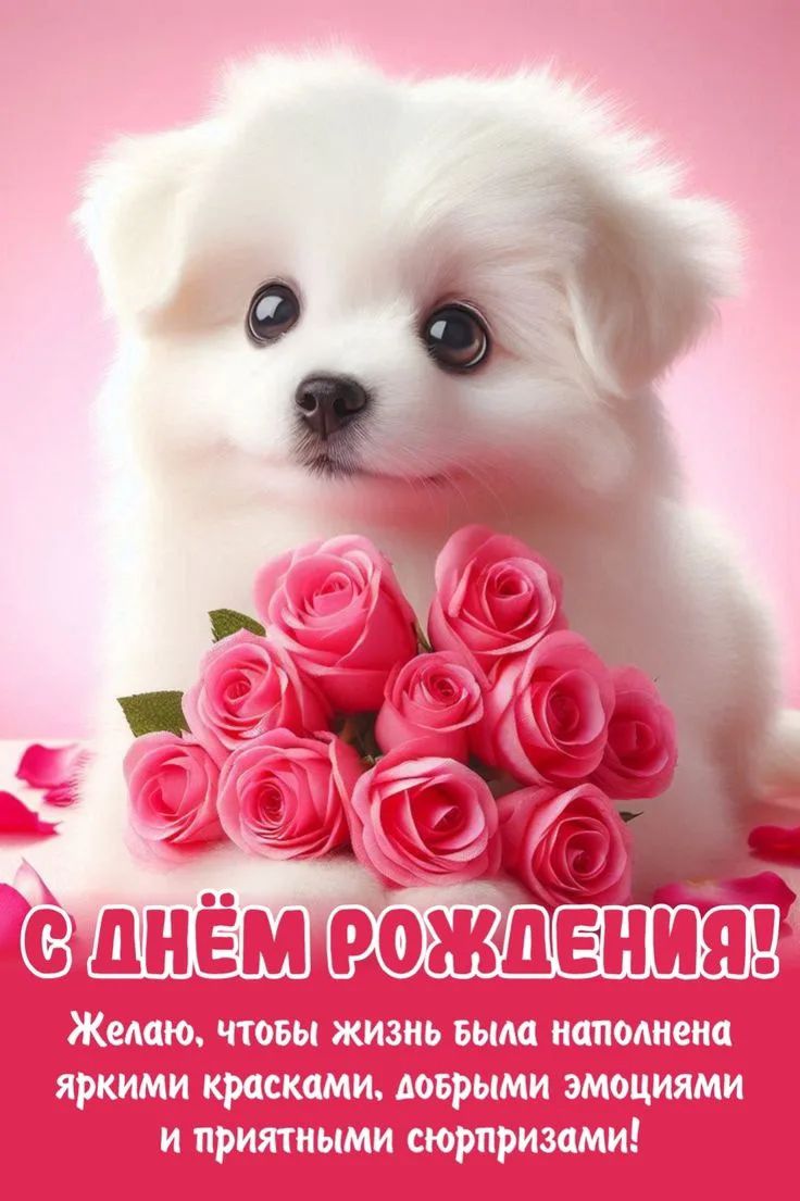 С ДНЁМ РОЖДЕНИЯ! Желаю, чтобы жизнь была наполнена яркими красками, добрыми эмоциями и приятными сюрпризами!
