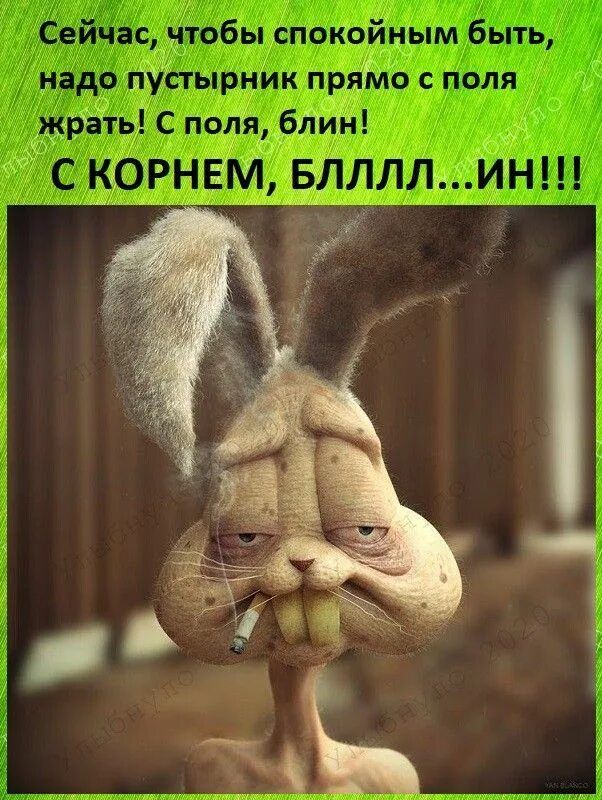 Сейчас, чтобы спокойным быть, надо пустырник прямо с поля жрать! С поля, блин! С КОРНЕМ, БЛЛЛЛ...ИН!!!