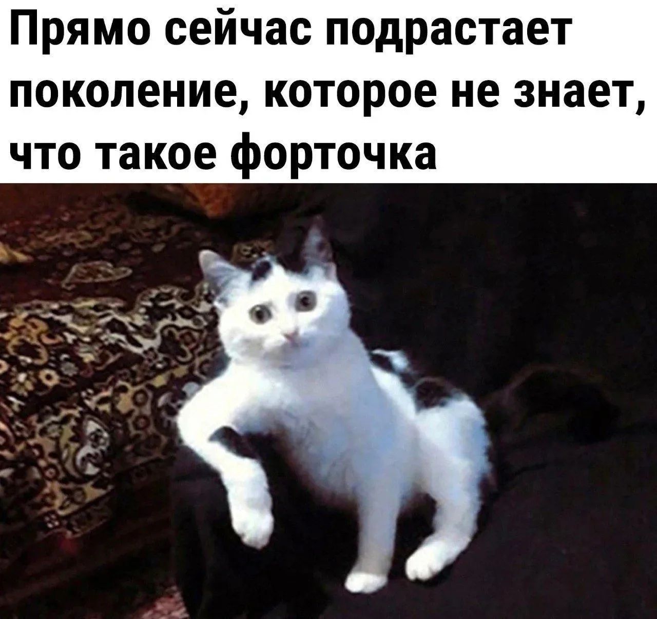 Прямо сейчас подрастает поколение, которое не знает, что такое форточка