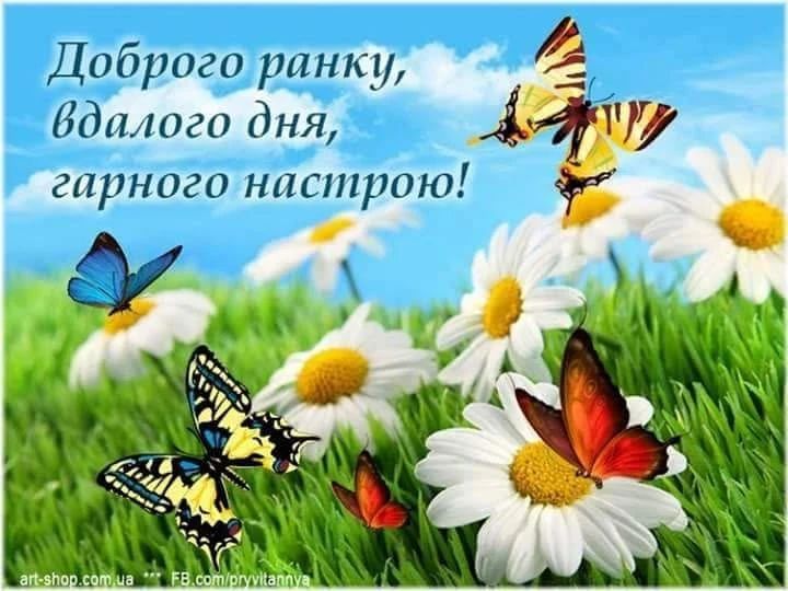 Доброго ранку, вдалого дня, гарного настрою!