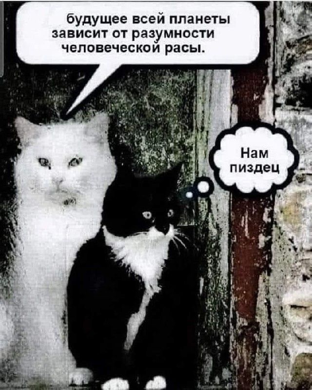 будущее всей планеты зависит от разумности человеческой расы. Нам пиздец